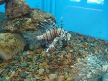 Морские экскурсии из Хургады. Фотоотчет.