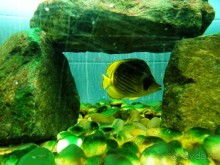 Морские экскурсии из Хургады. Фотоотчет.