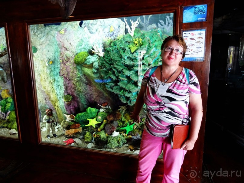 Морские экскурсии из Хургады. Фотоотчет.