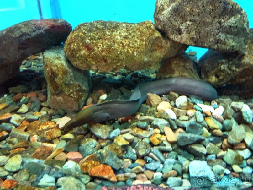 Морские экскурсии из Хургады. Фотоотчет.