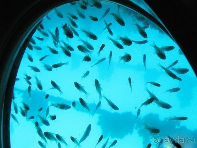 Морские экскурсии из Хургады. Фотоотчет.