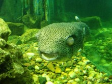 Морские экскурсии из Хургады. Фотоотчет.