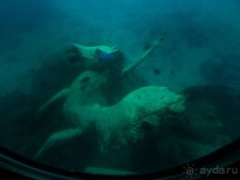 Морские экскурсии из Хургады. Фотоотчет.