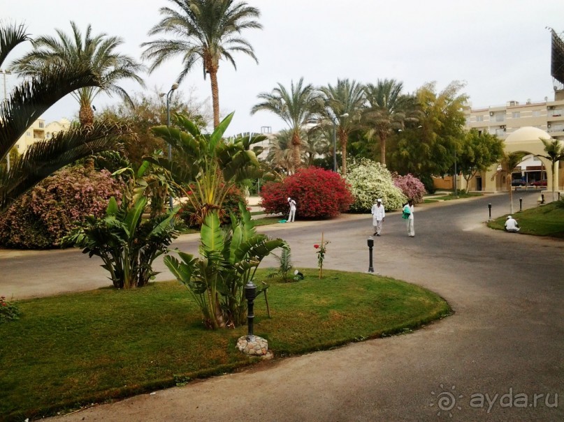 Морские экскурсии из Хургады. Фотоотчет. Морские экскурсии из Хургады. Фотоотчет.