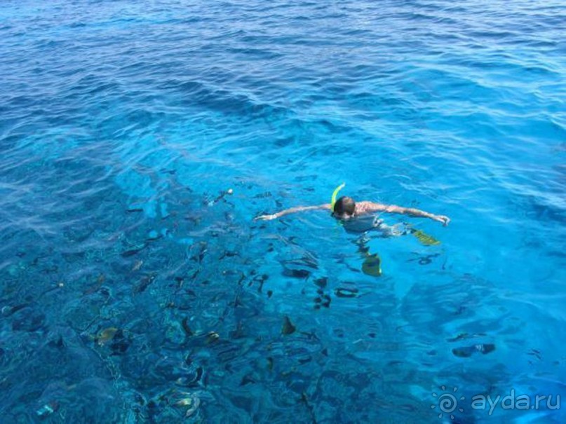 Морские экскурсии из Хургады. Фотоотчет. Морские экскурсии из Хургады. Фотоотчет.