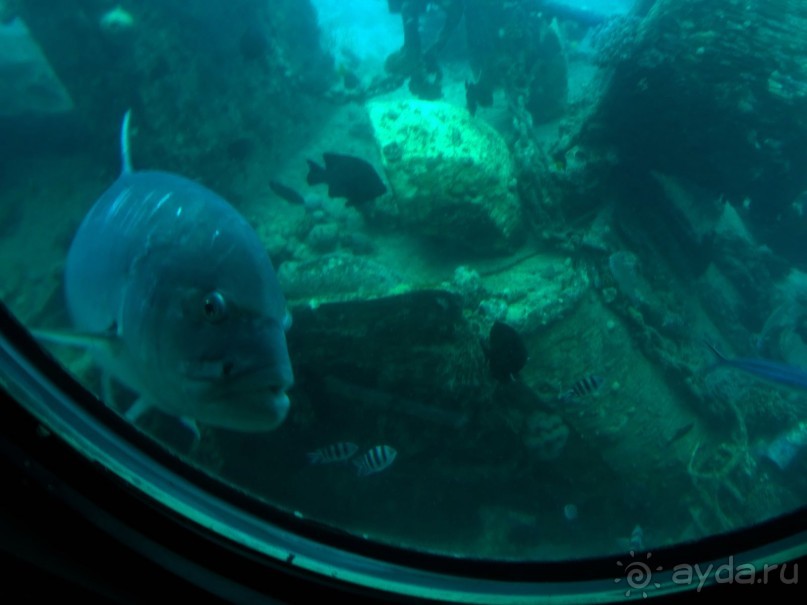 Морские экскурсии из Хургады. Фотоотчет. Морские экскурсии из Хургады. Фотоотчет.