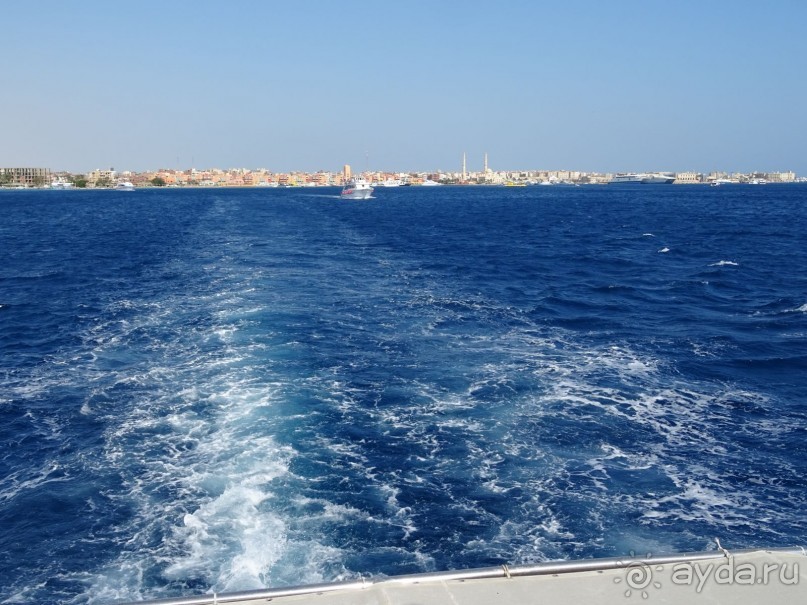 Морские экскурсии из Хургады. Фотоотчет. Морские экскурсии из Хургады. Фотоотчет.