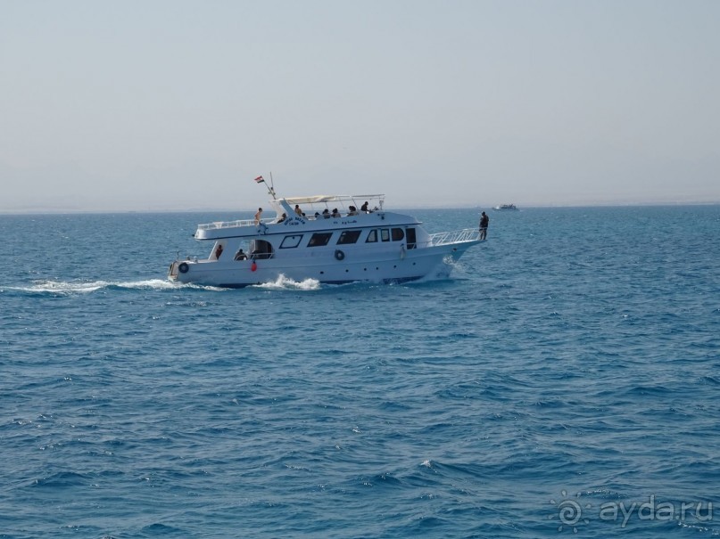 Морские экскурсии из Хургады. Фотоотчет. Морские экскурсии из Хургады. Фотоотчет.