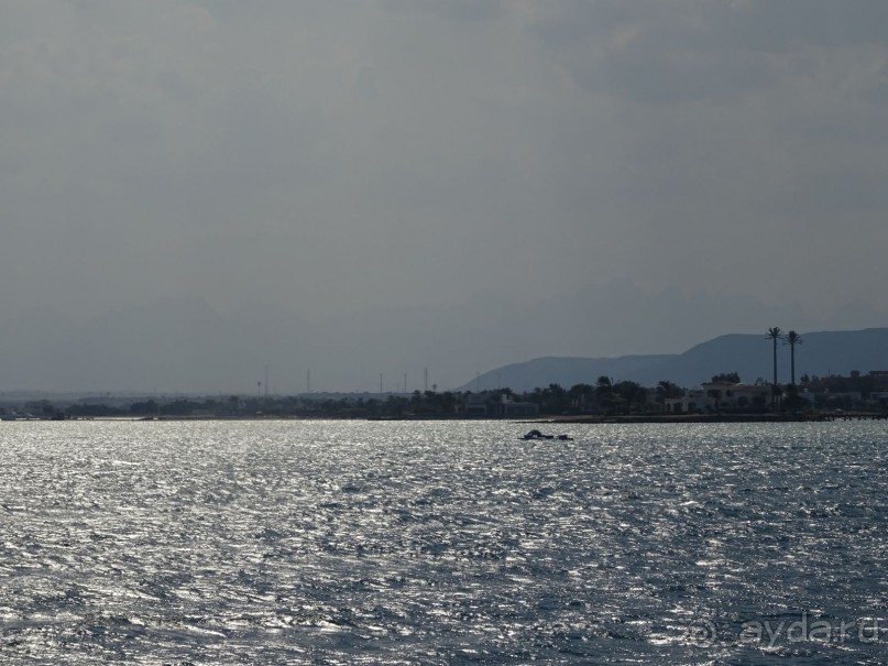 Морские экскурсии из Хургады. Фотоотчет. Морские экскурсии из Хургады. Фотоотчет.