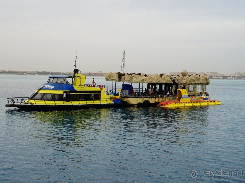 Морские экскурсии из Хургады. Фотоотчет. Морские экскурсии из Хургады. Фотоотчет.