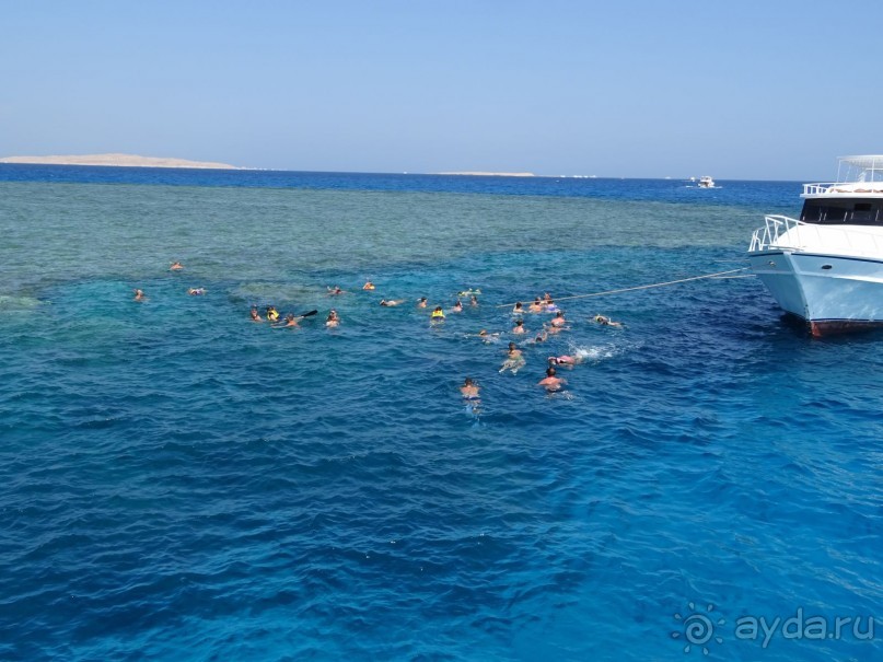 Морские экскурсии из Хургады. Фотоотчет. Морские экскурсии из Хургады. Фотоотчет.