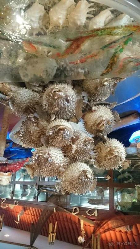 Морские экскурсии из Хургады. Фотоотчет.