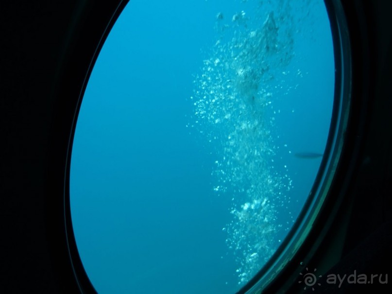 Морские экскурсии из Хургады. Фотоотчет. Морские экскурсии из Хургады. Фотоотчет.