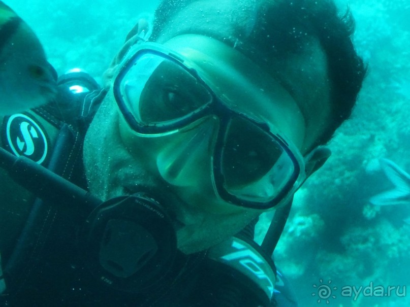 Морские экскурсии из Хургады. Фотоотчет. Морские экскурсии из Хургады. Фотоотчет.