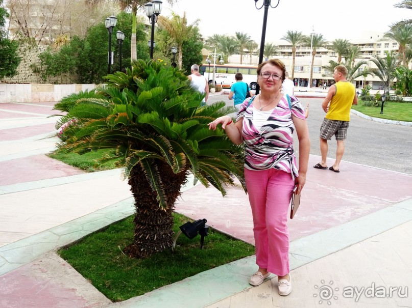 Морские экскурсии из Хургады. Фотоотчет. Морские экскурсии из Хургады. Фотоотчет.