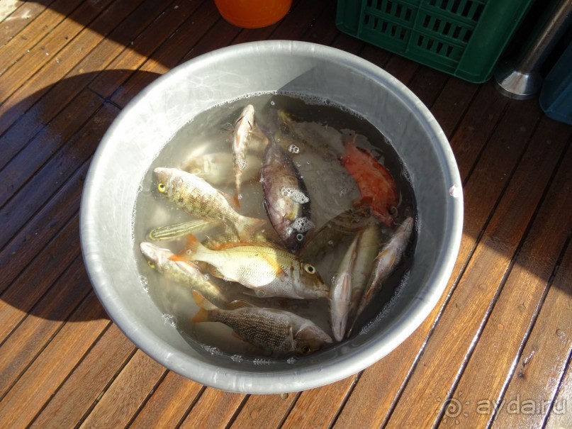 Морские экскурсии из Хургады. Фотоотчет. Морские экскурсии из Хургады. Фотоотчет.