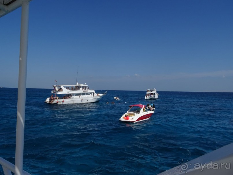 Морские экскурсии из Хургады. Фотоотчет. Морские экскурсии из Хургады. Фотоотчет.