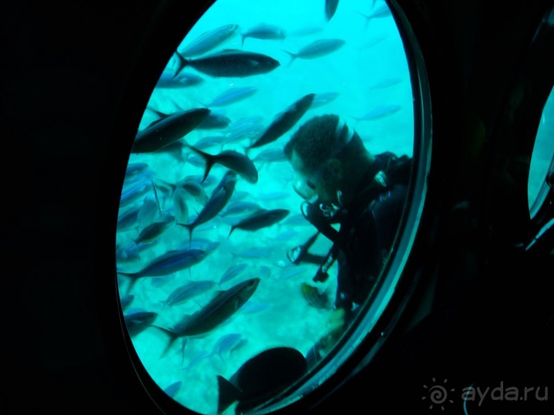 Морские экскурсии из Хургады. Фотоотчет. Морские экскурсии из Хургады. Фотоотчет.