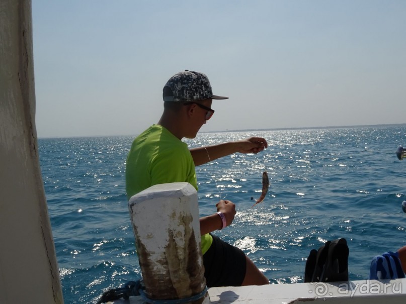 Морские экскурсии из Хургады. Фотоотчет. Морские экскурсии из Хургады. Фотоотчет.