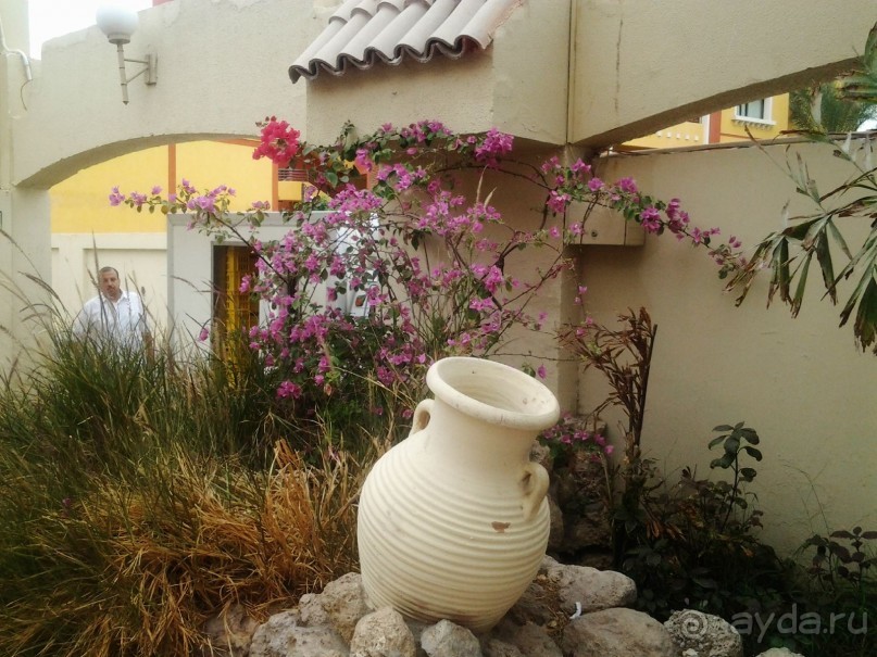 Морские экскурсии из Хургады. Фотоотчет. Морские экскурсии из Хургады. Фотоотчет.