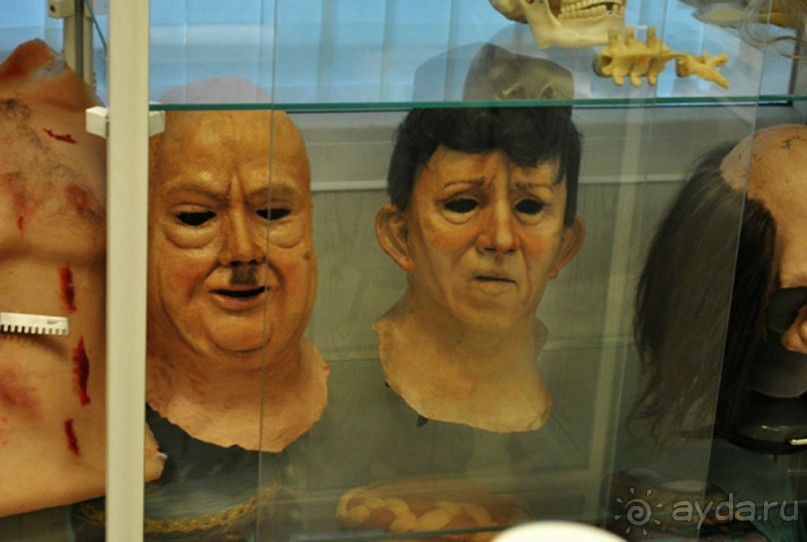 Экскурсия на Мосфильм.  Москва, апрель 2014.