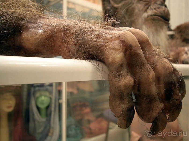 Экскурсия на Мосфильм.  Москва, апрель 2014.