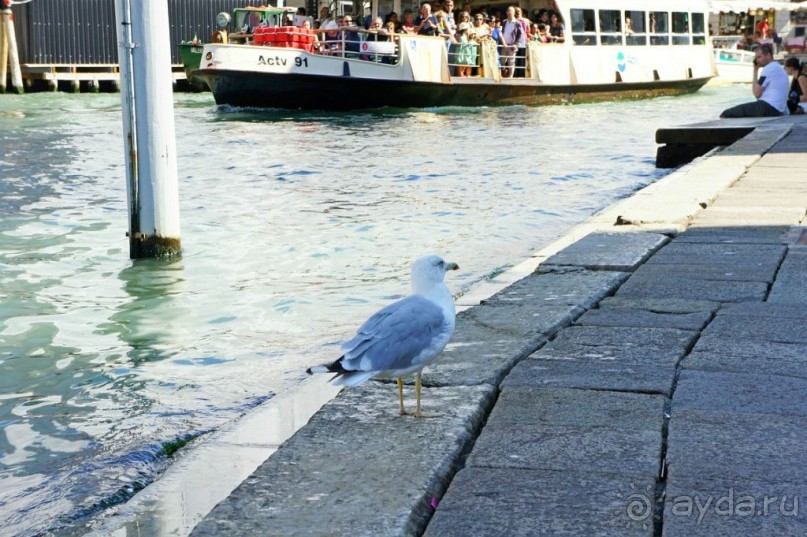 Венецианская сказка