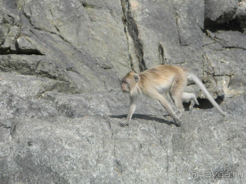 Тайланд. Двухдневная экскурсия из Паттайи на Ко Чанг (остров Слон).