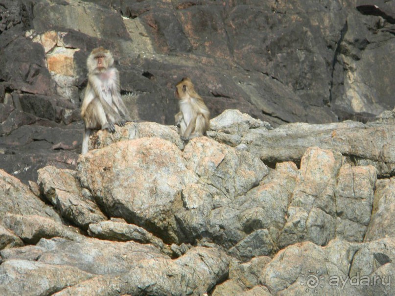 Тайланд. Двухдневная экскурсия из Паттайи на Ко Чанг (остров Слон).