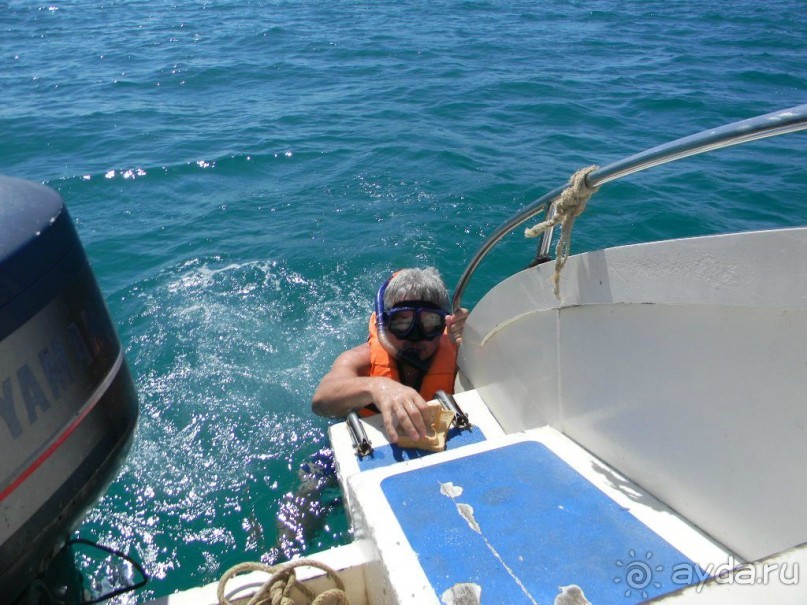 Все желающие надели жилеты и в открытое море!!!