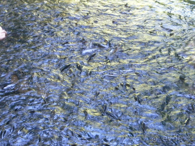 Тайланд. Двухдневная экскурсия из Паттайи на Ко Чанг (остров Слон).