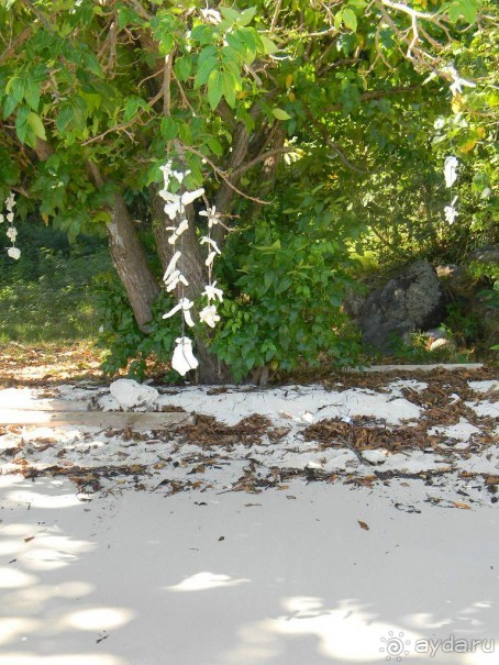 Тайланд. Двухдневная экскурсия из Паттайи на Ко Чанг (остров Слон).