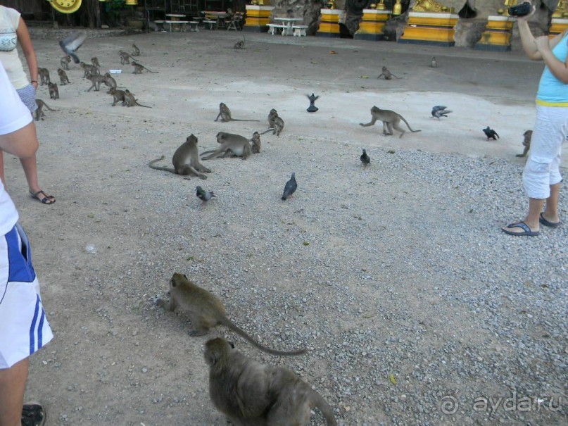 Тайланд. Двухдневная экскурсия из Паттайи на Ко Чанг (остров Слон).