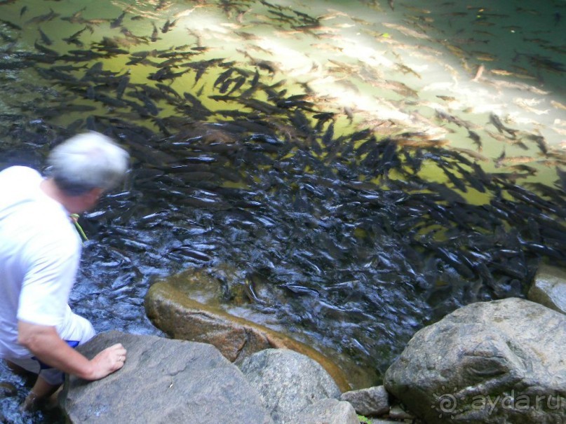 В национальном парке.