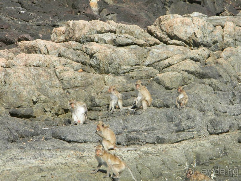 Тайланд. Двухдневная экскурсия из Паттайи на Ко Чанг (остров Слон).