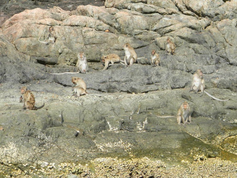 Тайланд. Двухдневная экскурсия из Паттайи на Ко Чанг (остров Слон).