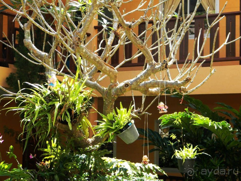 Тайланд. Двухдневная экскурсия из Паттайи на Ко Чанг (остров Слон).