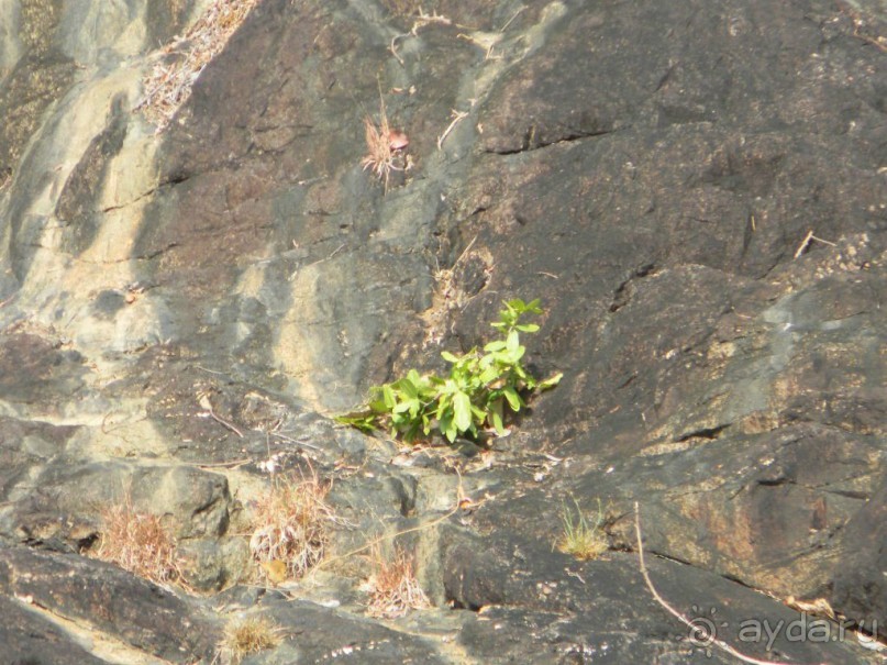 Тайланд. Двухдневная экскурсия из Паттайи на Ко Чанг (остров Слон).