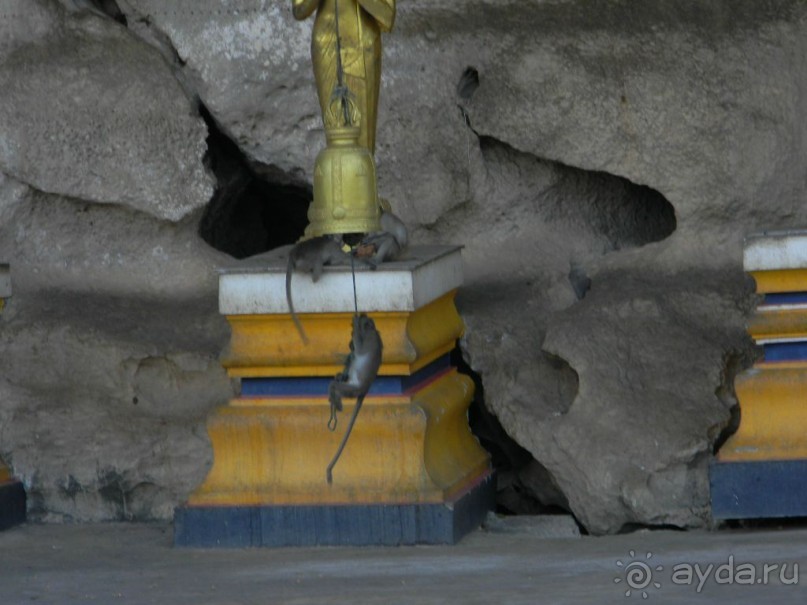 Тайланд. Двухдневная экскурсия из Паттайи на Ко Чанг (остров Слон).