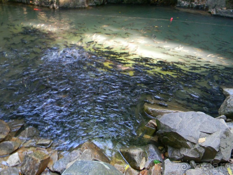Тайланд. Двухдневная экскурсия из Паттайи на Ко Чанг (остров Слон).