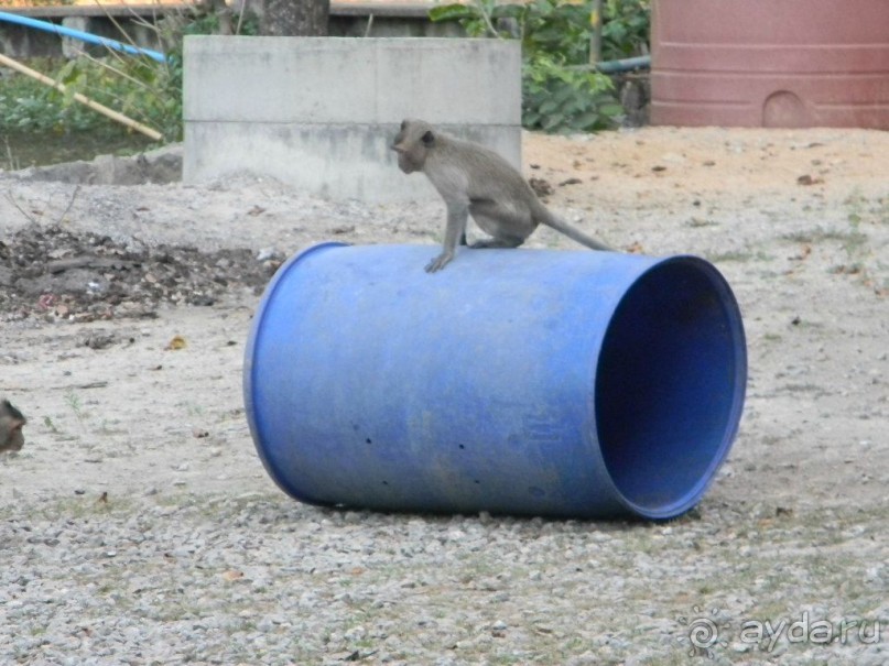 Тайланд. Двухдневная экскурсия из Паттайи на Ко Чанг (остров Слон).