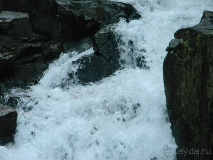 В национальном парке по дороге к острову Слон.