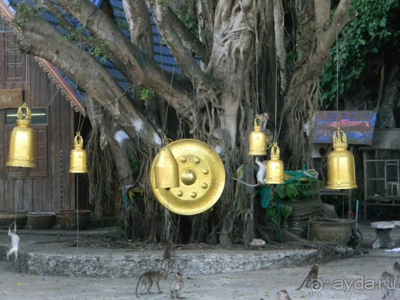 Тайланд. Двухдневная экскурсия из Паттайи на Ко Чанг (остров Слон).