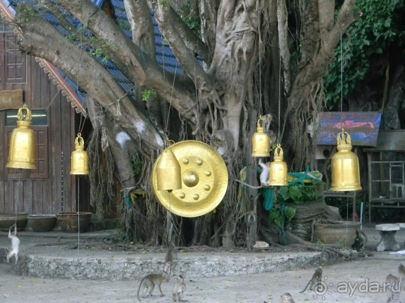 Храм Семи Колокольчиков.