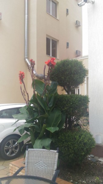 Гостевой дом "Черное море" в центре Адлера