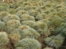 Самостоятельно по Португалии и Испании. Ч.1 - Португалия : Лиссабон.