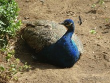 Самостоятельно по Португалии и Испании. Ч.1 - Португалия : Лиссабон.