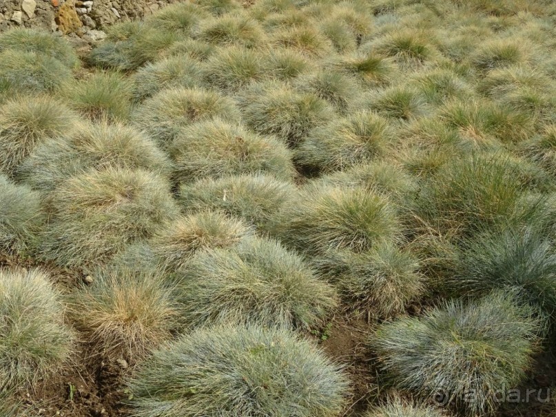 Самостоятельно по Португалии и Испании. Ч.1 - Португалия : Лиссабон.