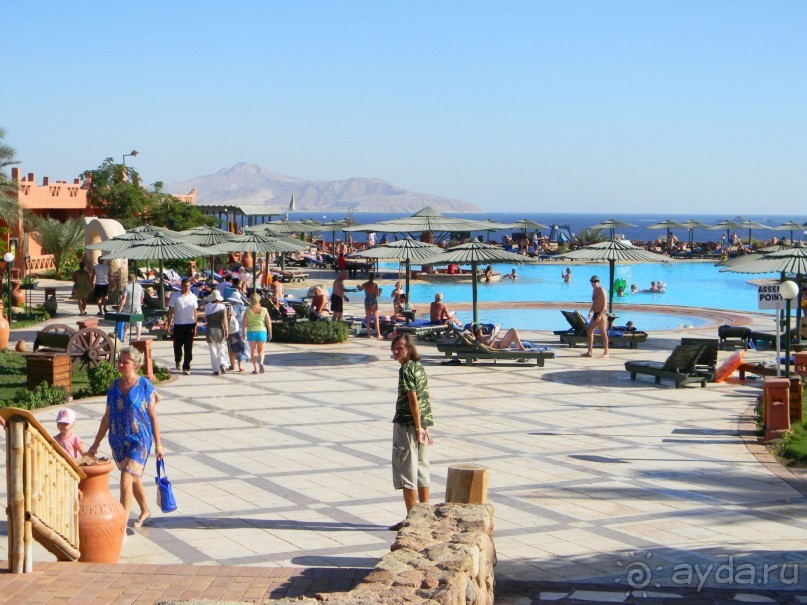 Территория отеля.