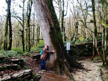 Бархатный ноябрь 2016. Сочи. Инструкция по применению. Часть 1.